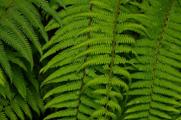 Les Concerts et Leur Empreinte Écologique : Révéler l'Impact Caché