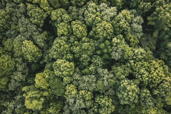 Panneau solaire photovoltaïque : l'expérience client au top